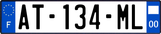 AT-134-ML