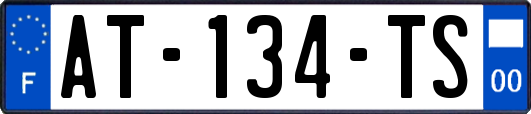 AT-134-TS
