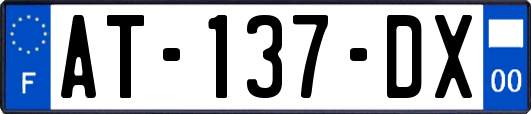 AT-137-DX