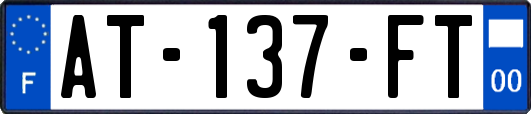 AT-137-FT