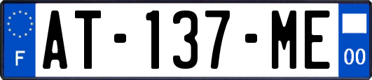 AT-137-ME