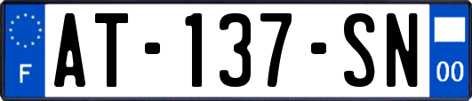 AT-137-SN