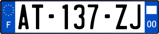 AT-137-ZJ