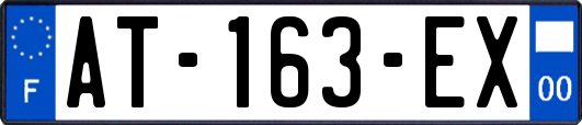 AT-163-EX