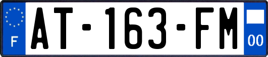 AT-163-FM