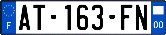 AT-163-FN