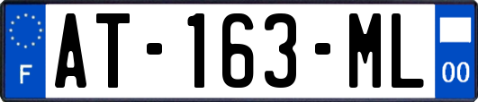 AT-163-ML
