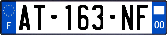 AT-163-NF