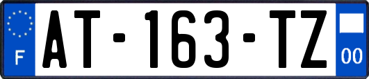 AT-163-TZ