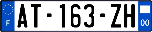 AT-163-ZH