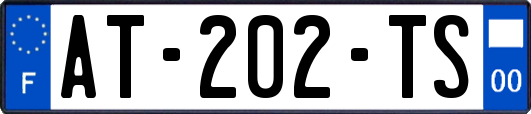 AT-202-TS