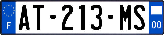 AT-213-MS