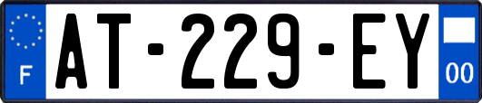 AT-229-EY