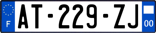 AT-229-ZJ