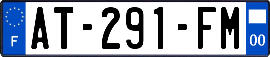 AT-291-FM