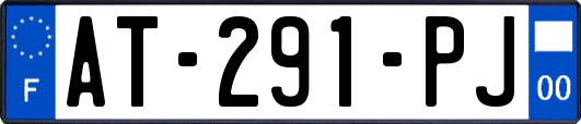 AT-291-PJ