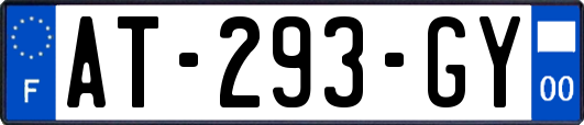 AT-293-GY