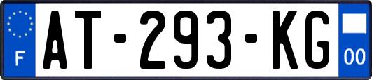 AT-293-KG