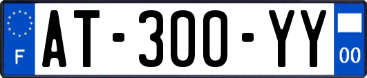 AT-300-YY