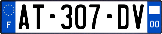 AT-307-DV