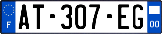 AT-307-EG