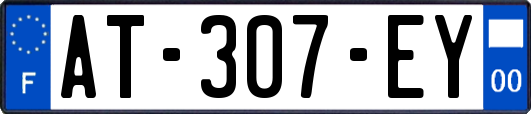 AT-307-EY
