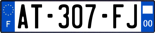 AT-307-FJ