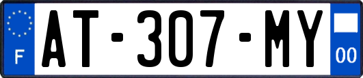 AT-307-MY