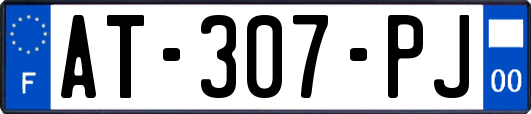 AT-307-PJ