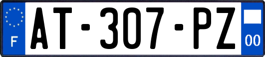 AT-307-PZ