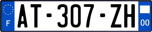 AT-307-ZH