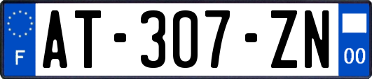 AT-307-ZN