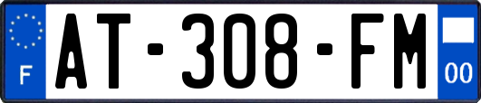 AT-308-FM