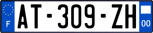 AT-309-ZH