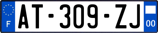 AT-309-ZJ