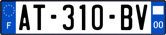 AT-310-BV
