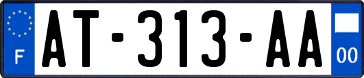 AT-313-AA