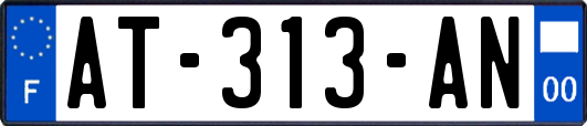 AT-313-AN