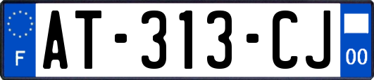 AT-313-CJ