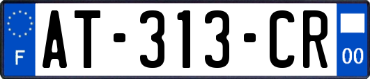 AT-313-CR