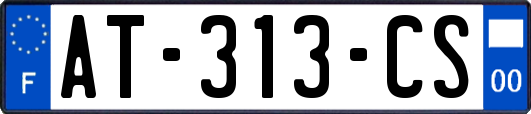 AT-313-CS