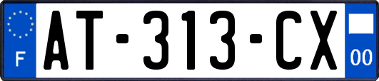AT-313-CX