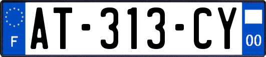 AT-313-CY
