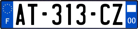 AT-313-CZ