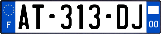 AT-313-DJ