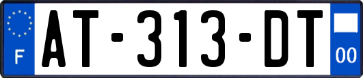 AT-313-DT