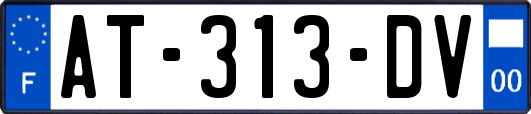 AT-313-DV