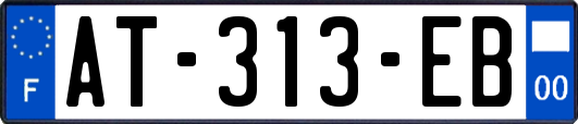 AT-313-EB