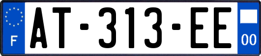 AT-313-EE