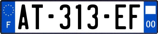 AT-313-EF